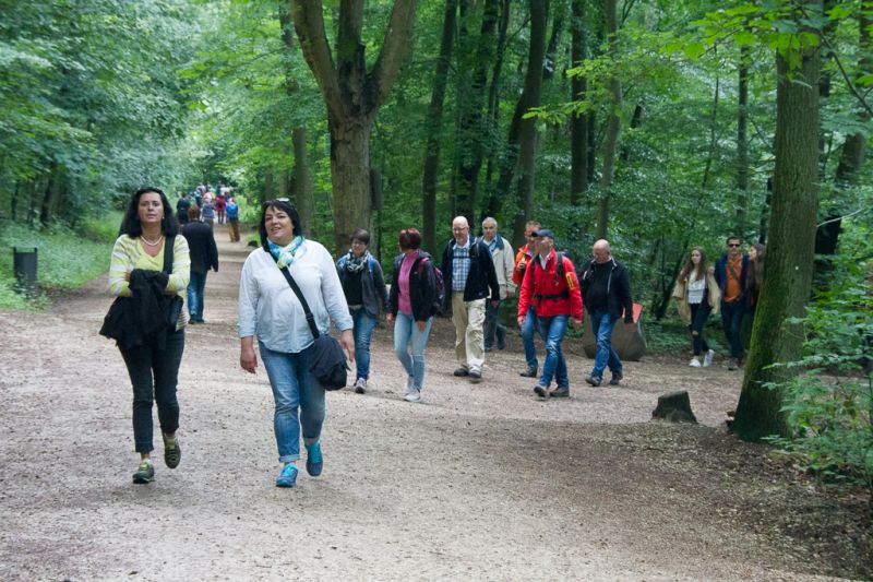 20160618-110645-7286