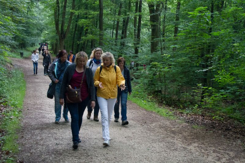 20160618-110722-7289